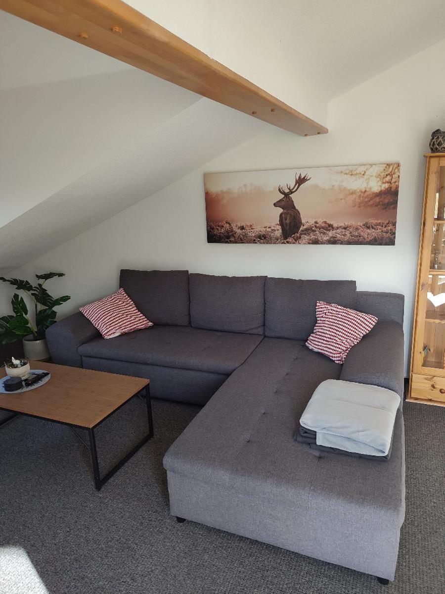 Ferienwohnung Schmidt Bayerisch Eisenstein Dış mekan fotoğraf